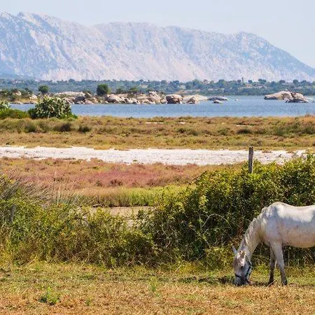 Sunrise Sardinia * San Teodoro (Sardinia)